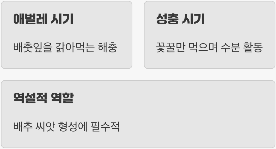 배추흰나비, 억울한 '해충'의 누명