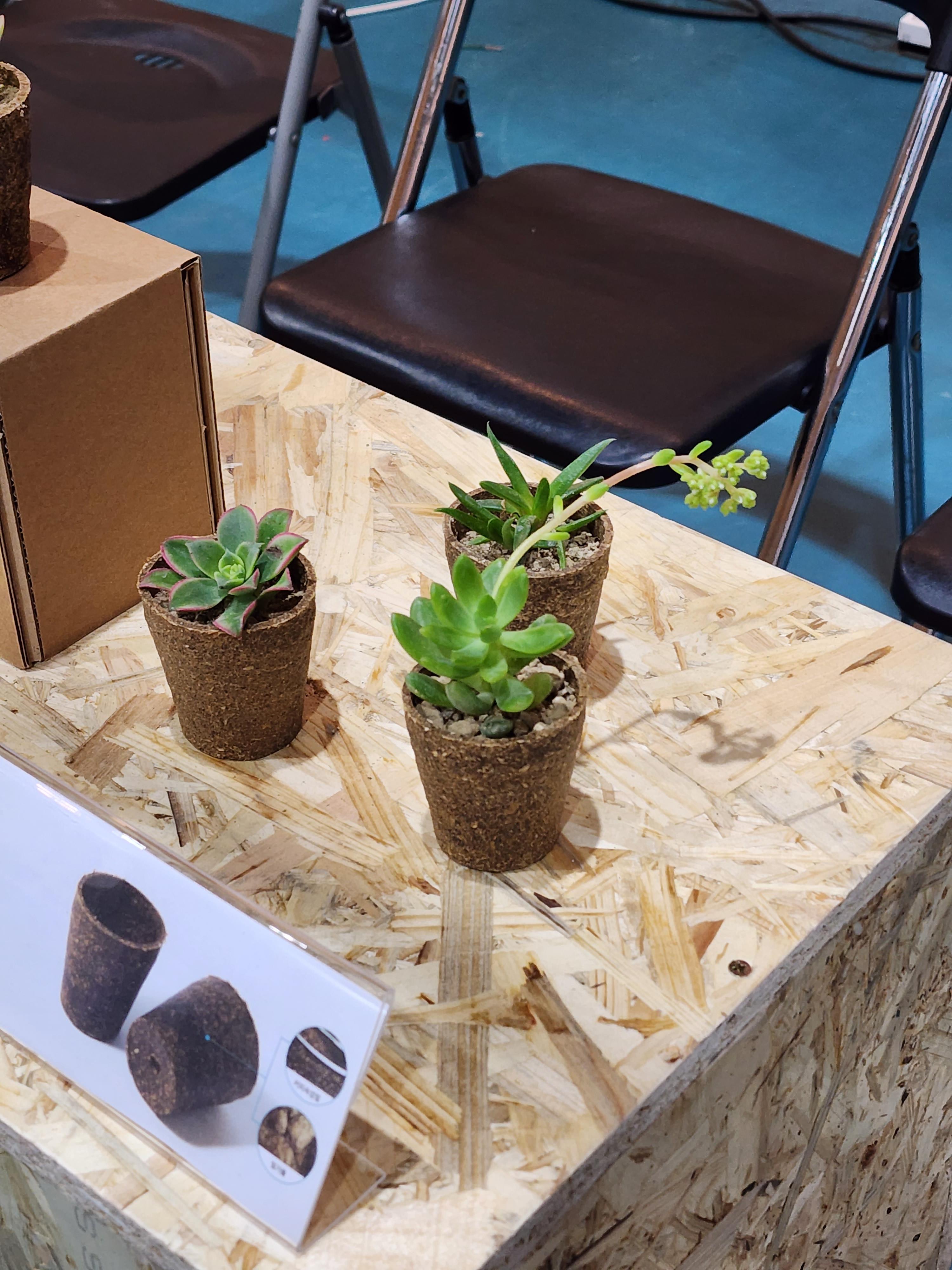 베지노믹스 페어 아이엠그리너