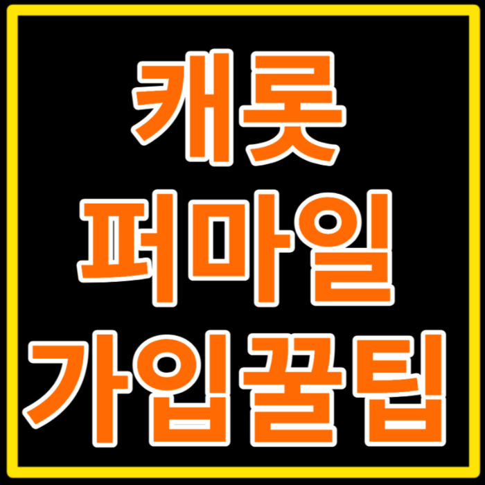 캐롯퍼마일자동차보험