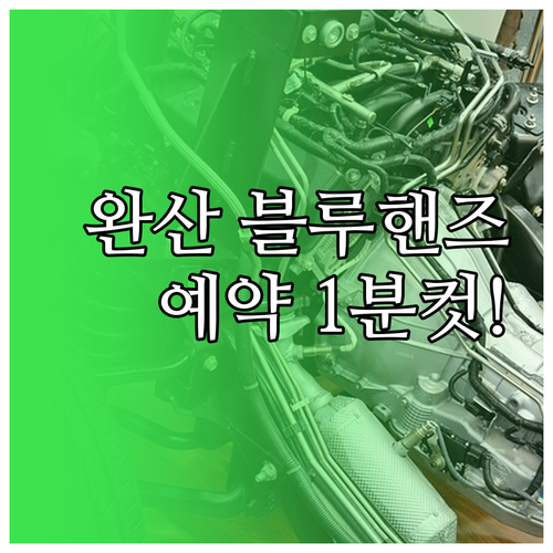 전주 완산구 블루핸즈 예약 고객센터 ..