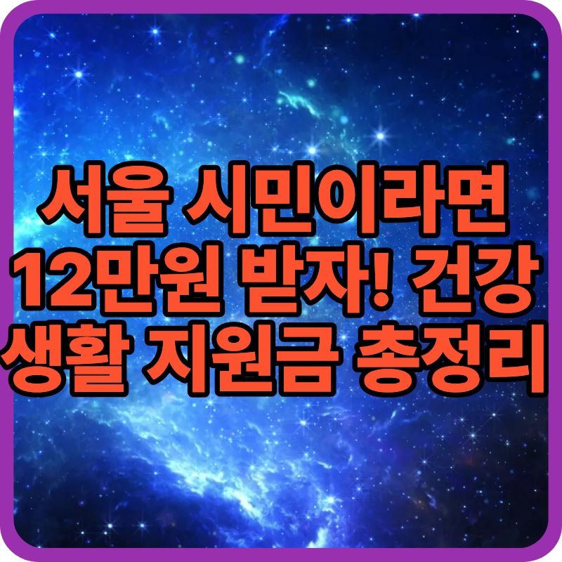 서울 건강생활 실천 12만원 지원금 신청 방법 총정리