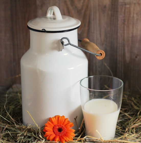 영양소-비타민K