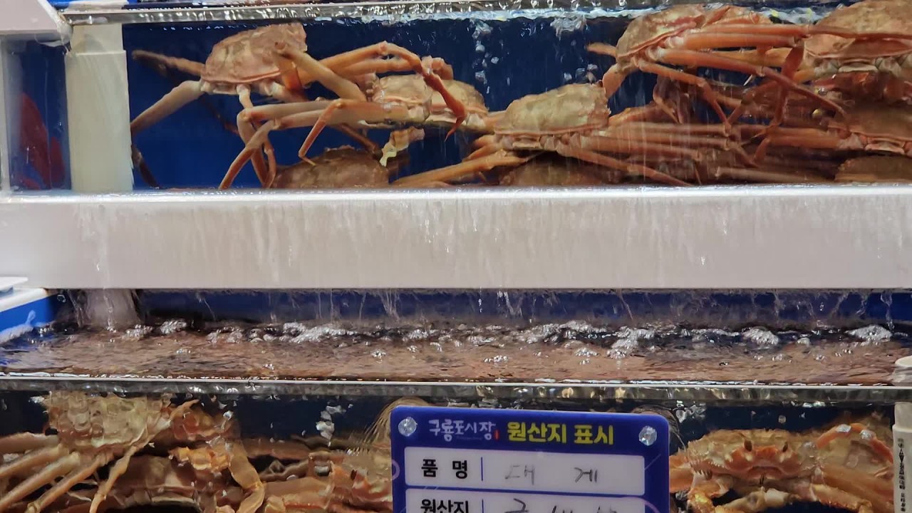 6시 내고향에 나온 게좋은강룡호&amp;강룡수산 직접 가보니 놀랐다