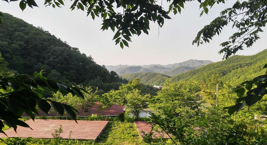 캠핑장 할로윈 이벤트