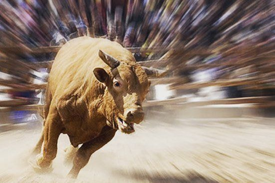 황소가-돌진하는-모습