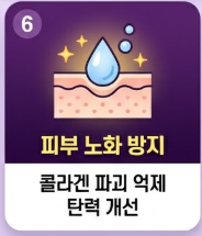 아로니아 효능