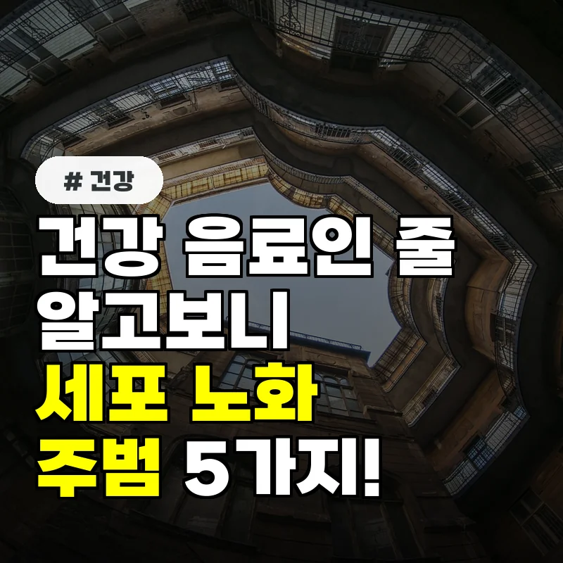 건강 음료인 줄 알았는데 세포 노화 앞당기는 의외의 주범 5가지