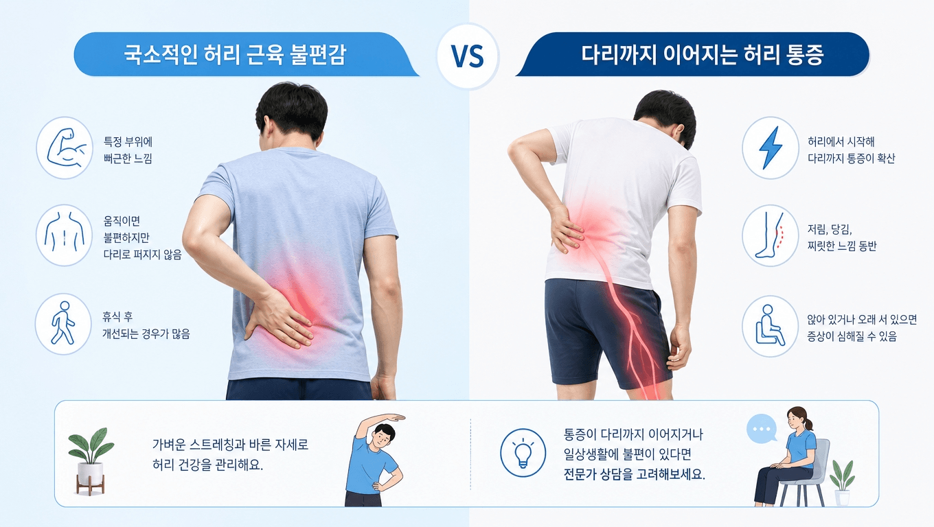 근육성 허리 통증과 디스크 신호를 비교한 일러스트