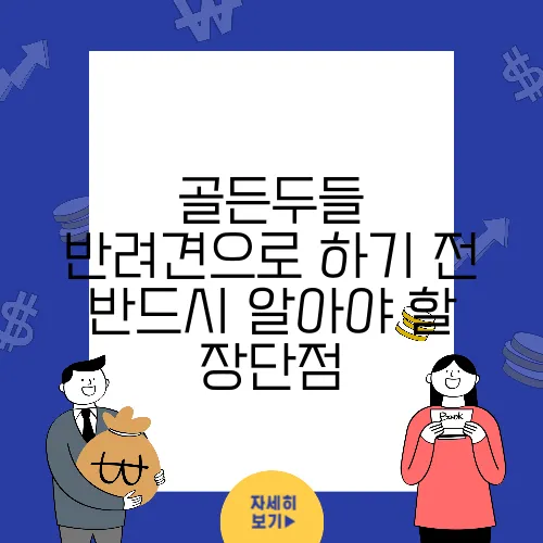 골든두들 반려견으로迎하기 전 반드시 알아야 할 장단점