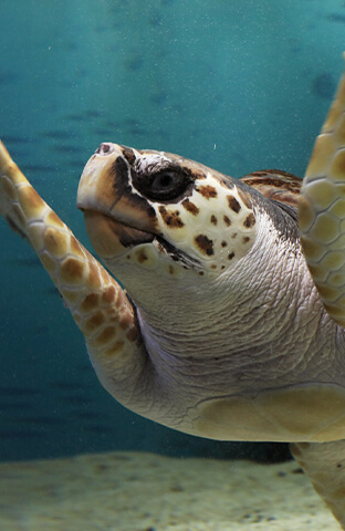 여수 가볼만한 곳 베스트10, 핫플