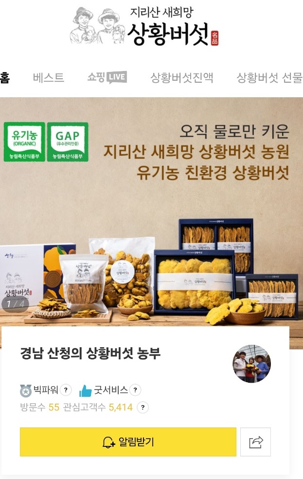 6시내고향-산청-유기농-상황버섯