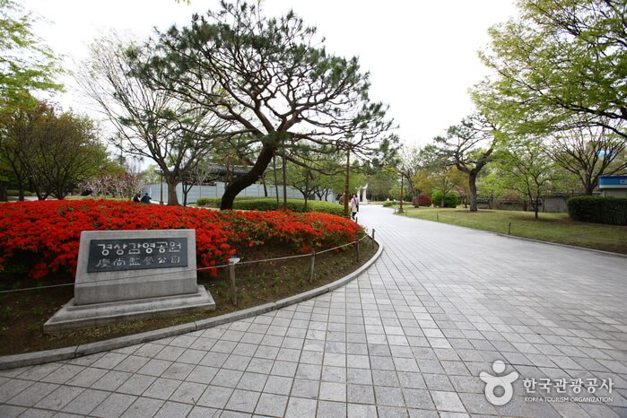 대구 가볼만한 단풍 여행은 어디일까? 대구 단풍 여행 총정리!