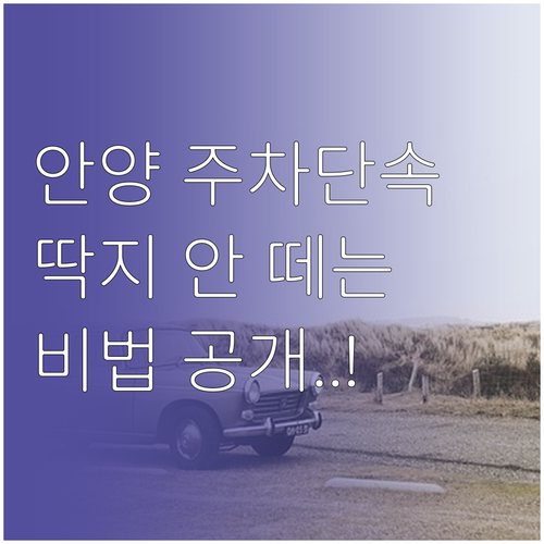 안양시 주정차 단속 유예 시간과 5대..