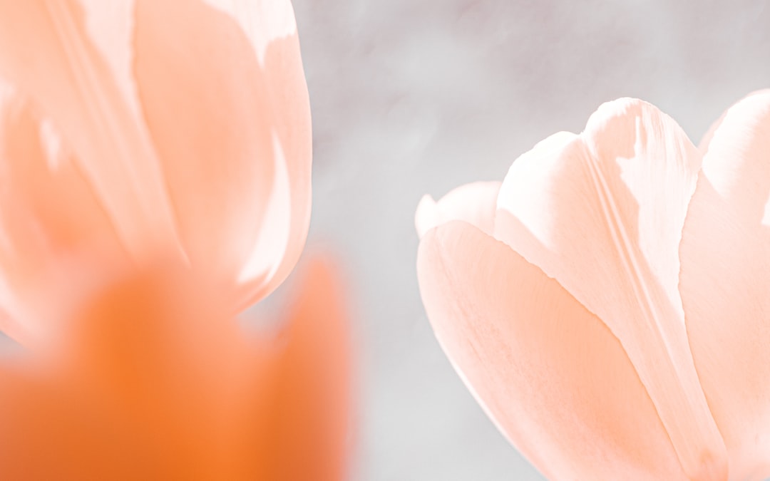 Peach
