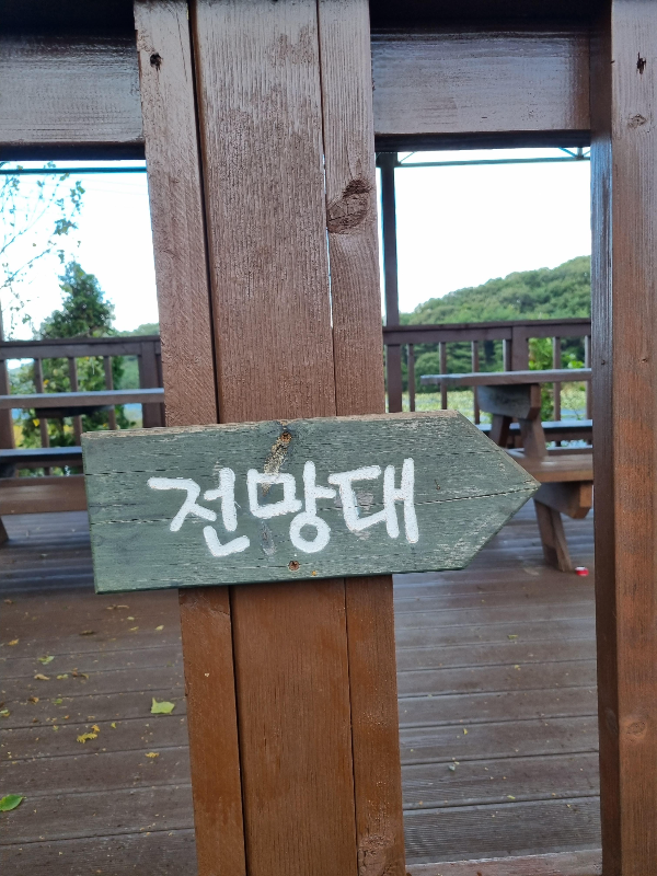 태안 미로공원