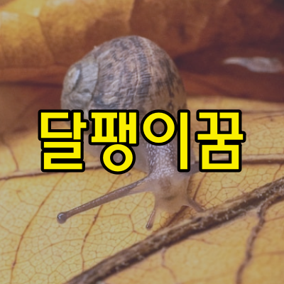 달팽이꿈