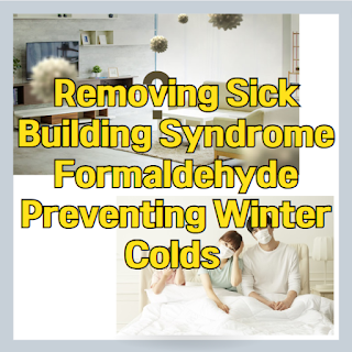 Removing Sick Building Syndrome Formaldehyde and Preventing Winter Colds Thumbnail