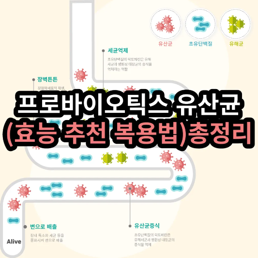 프로바이오틱스 유산균 썸네일