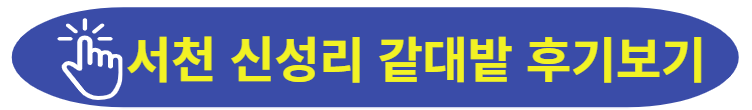 신성리 갈대밭 후기 자세히 보기