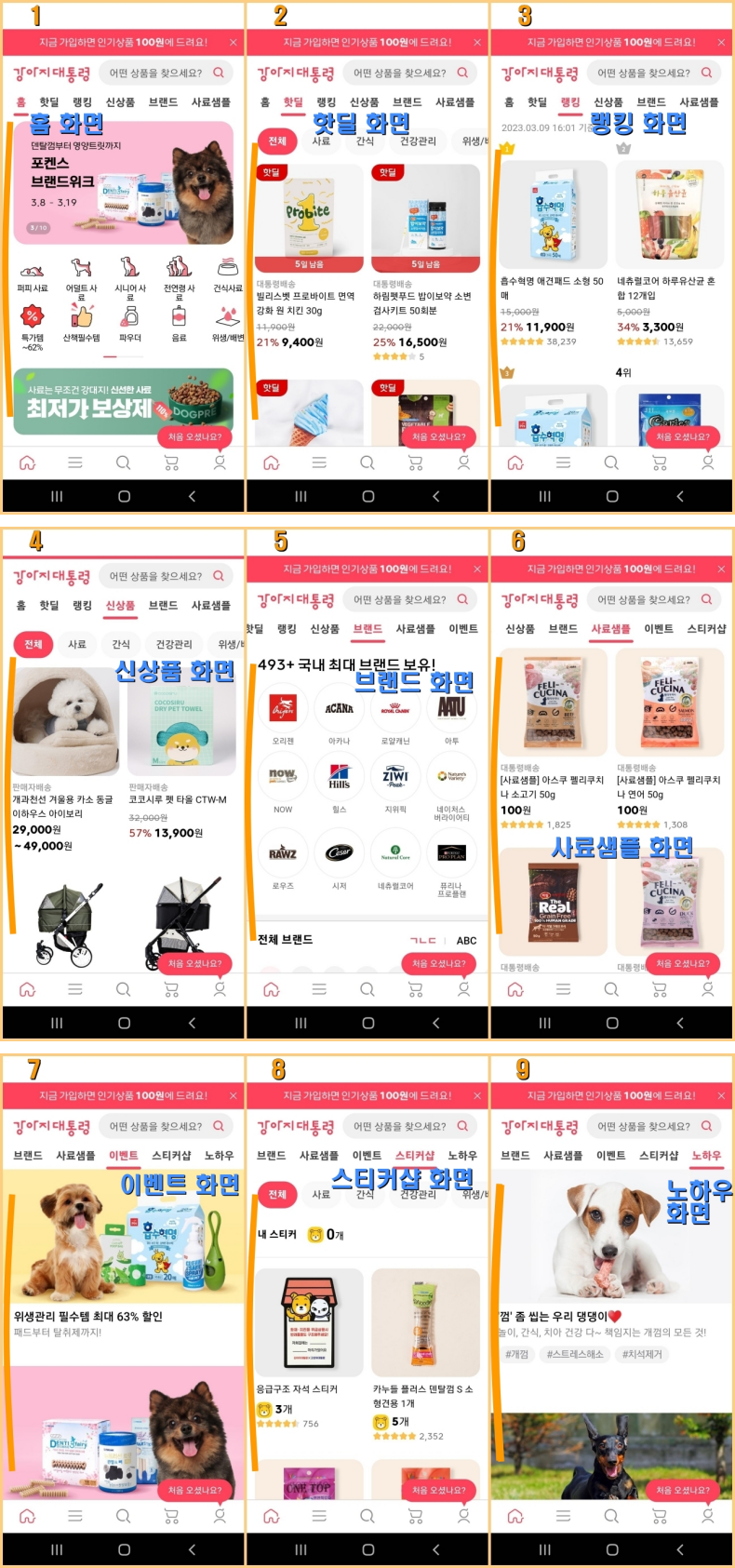 강아지 대통령 홈 소개