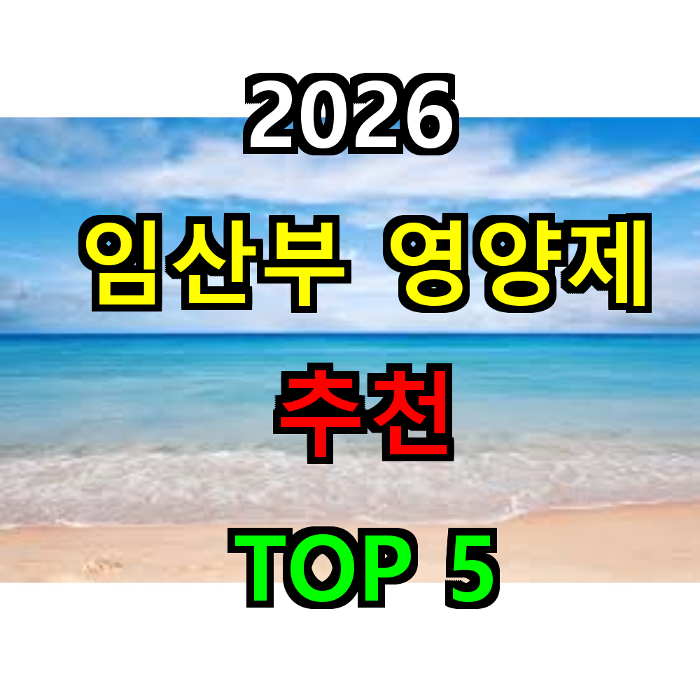 2026 임산부 영양제 추천 TOP 5