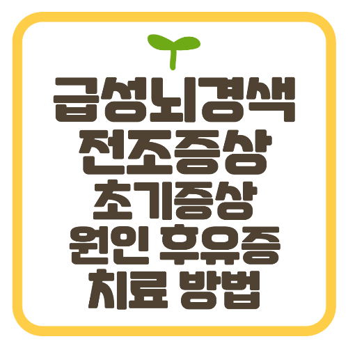 급성 뇌경색 전조증상 초기증상 원인 후유증 치료 방법