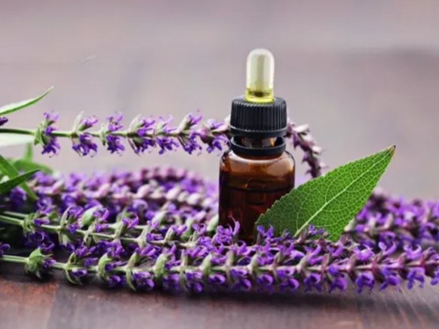 클라리 세이지 Clary sage