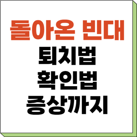 빈대 퇴치법