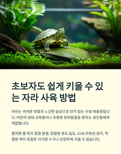 초보자도 쉽게 키울 수 있는 자라 사육 방법과 필수 관리 팁