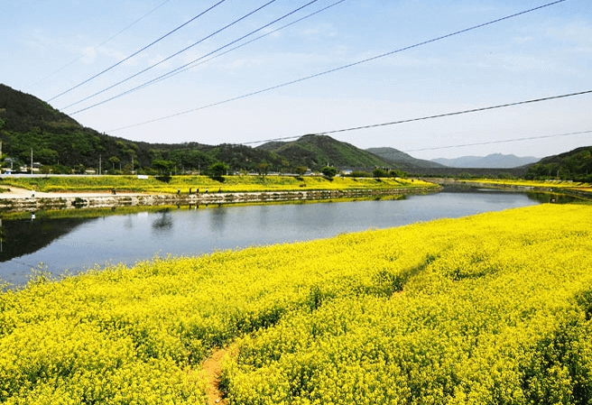 황룡강 생태공원