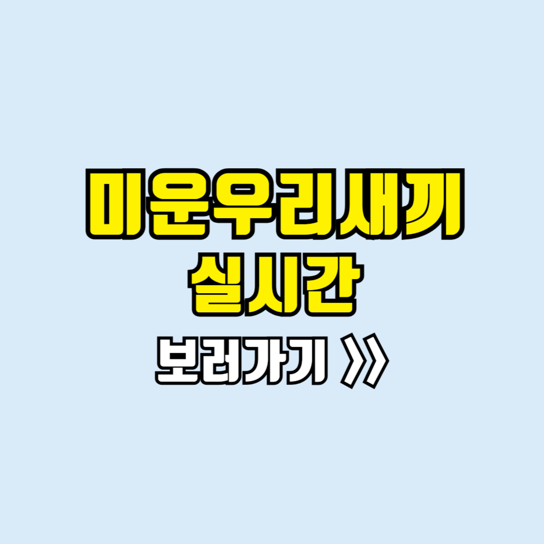 미운우리새끼 실시간