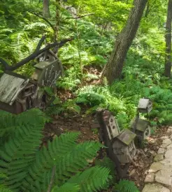 화담숲-입장료-할인-운영시간