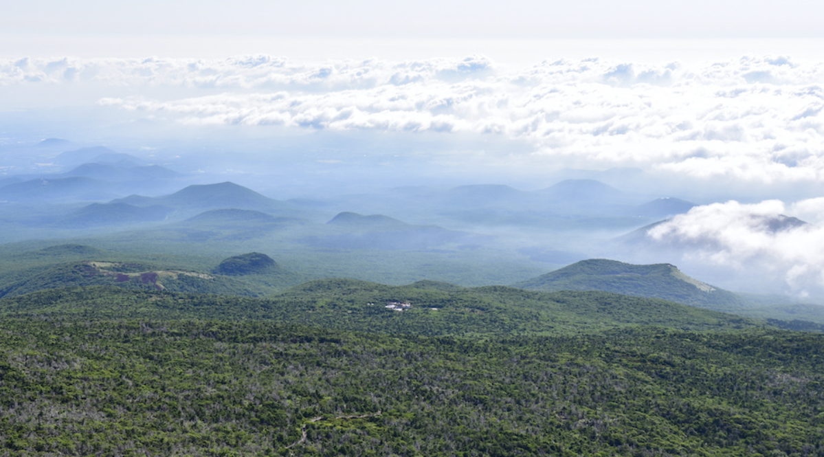 한라산 성판악 풍경