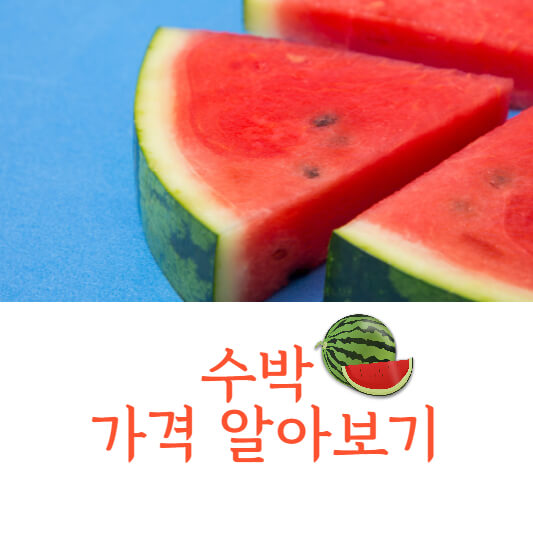 수박 가격