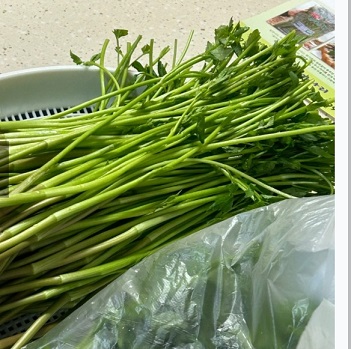 6시내고향-청도-한재미나리