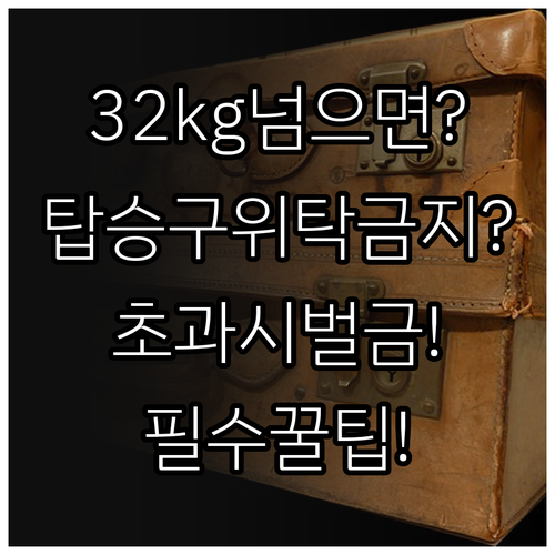 티웨이항공 위탁수하물, 32kg 초과..