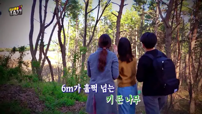 그알 그것이알고싶다 포항 고양이 연쇄 살해 사건 캣맘 불법 먹이 투기 행위 반대 캣 프레데터 강력 살인 범죄 징조 사례 1318회