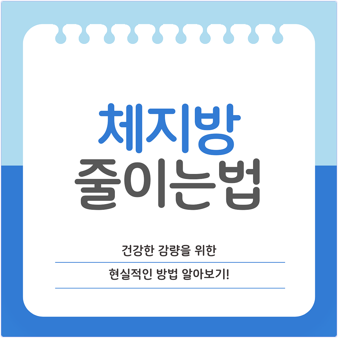 체지방 줄이는법