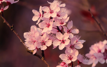 화담숲-예약하기