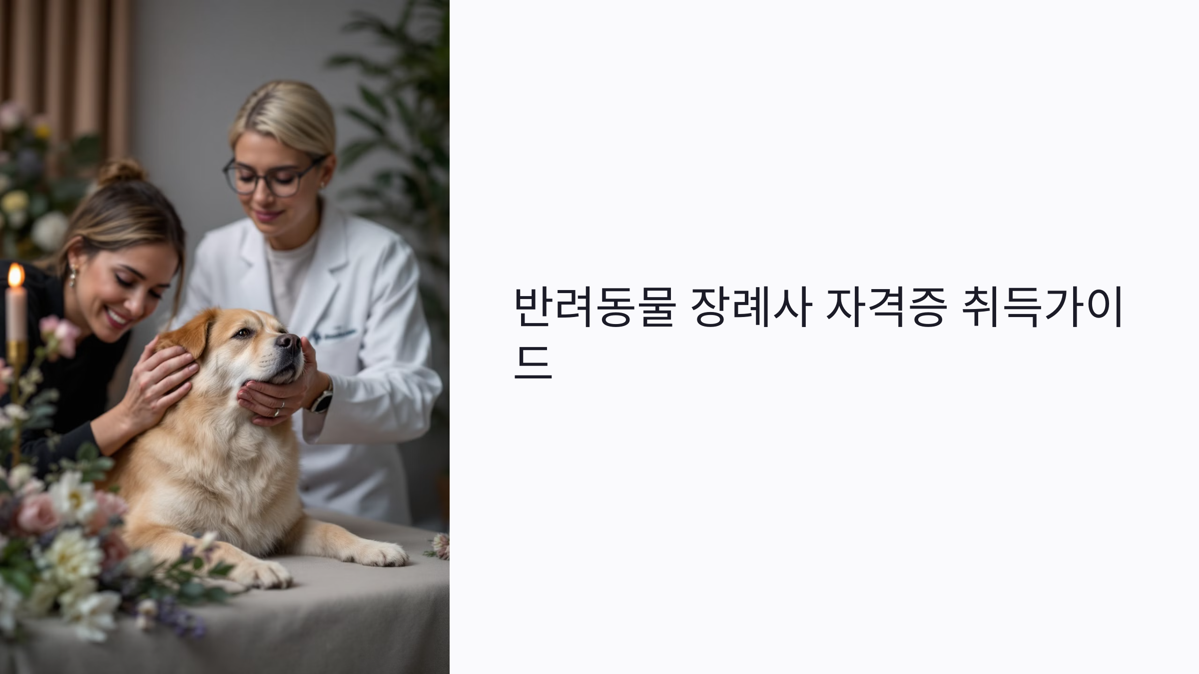 반려동물 장례사 자격증 취득 방법과 전망