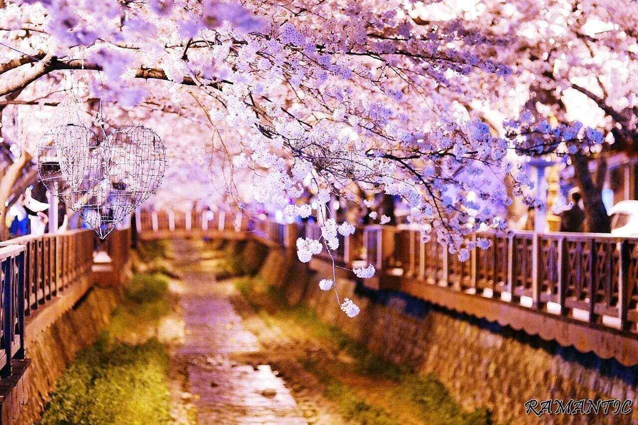 여좌천 로망스다리