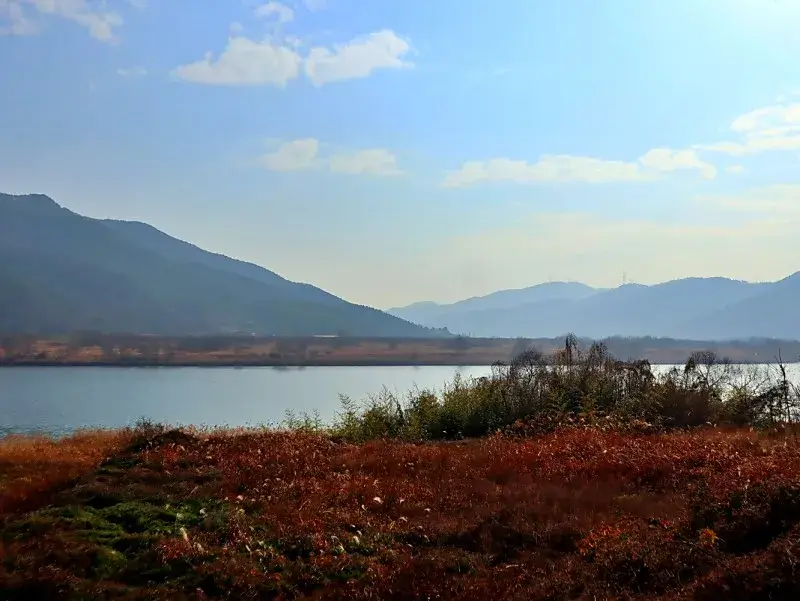 낙동강을 낀 옛 개진나루터 전경