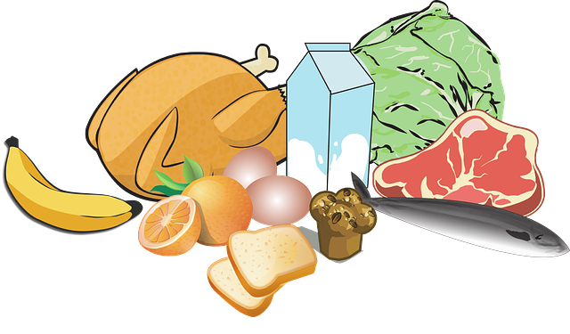 복날 먹는 음식 추천