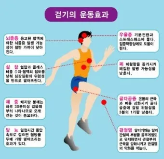 걷기운동 효과 좋은점 놀라운 효능 방법_6