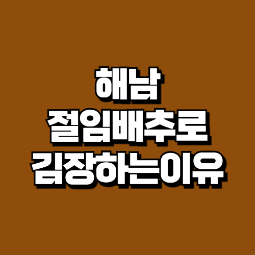 해남절임배추20kg절인배추