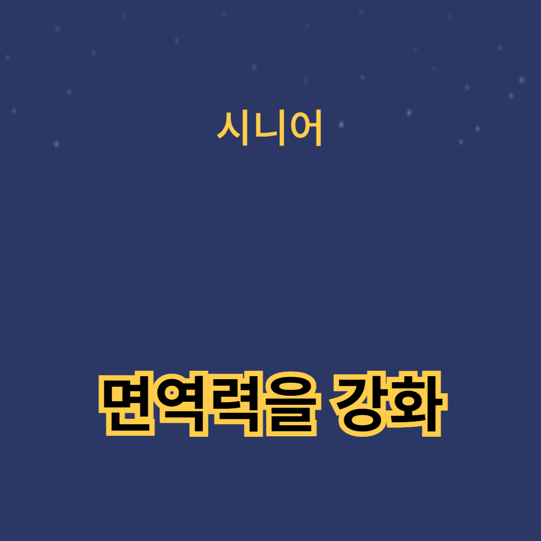 항염증 식품으로 면역력을 강화하는 방법