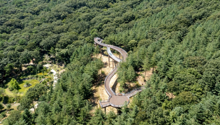 보령 무궁화수목원