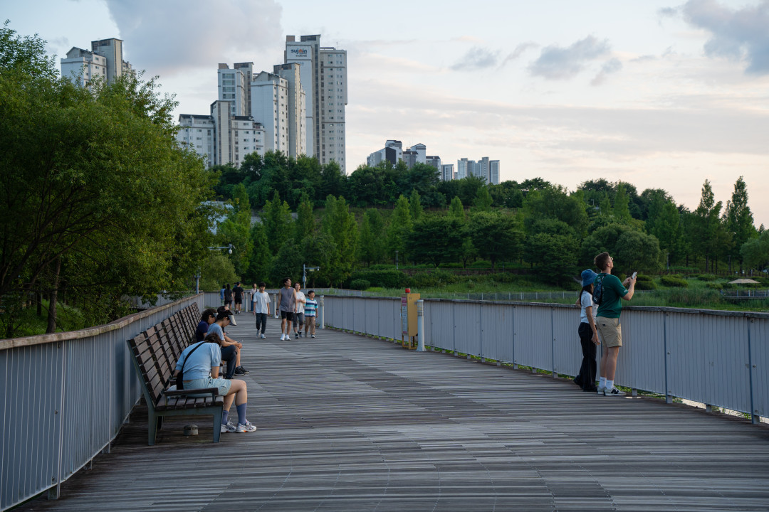 신대호수 나무데크 산책로