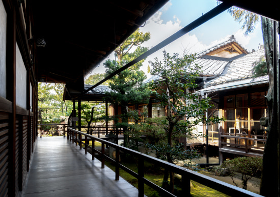 ์์ฝ์ธ ์ ์ ๋ด๋ถ ํ๊ฒฝ