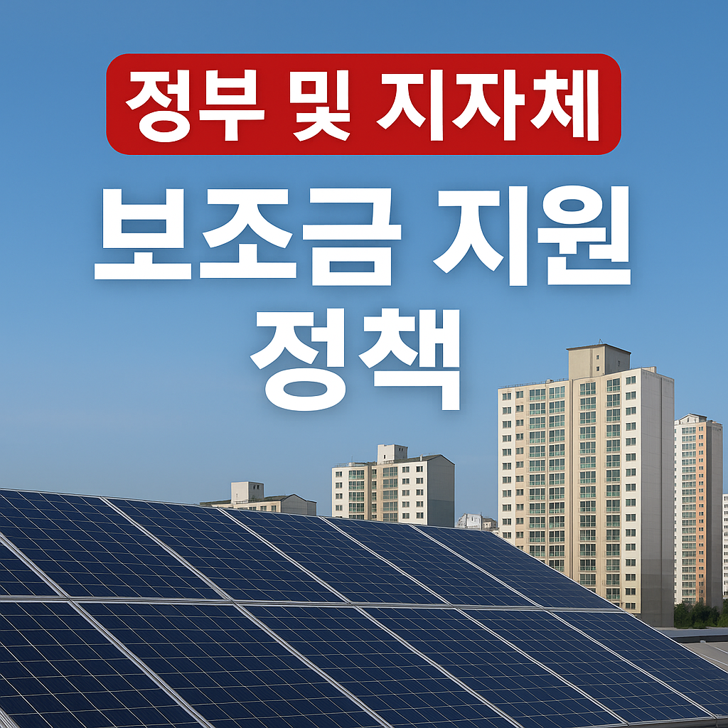 정부 및 지자체 보조금 지원 정책